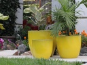 COCO POTS, LEMON, SET OF 3 - 19"X17", 15'X13", 12"X11"