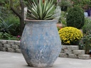 PLANTER DE HACIENDA, AEGEAN SEA , 34.5"X39.0"