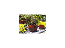 LAGUNA DRUM PLANTER, TROPICAL RED, SET OF 3 - 16.5" X 12.0", 12.0" X 9.0", 8.5" X 6.0"