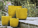 LAGUNA BUCKET PLANTER, ATOMIC YELLOW, SET OF 4- 14.5" X 14.5", 12.0" X 12.0", 10.5" X 10.5", 8.5" X 8.5"